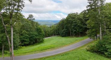 15 DELAFIELD RD, HOT SPRINGS, Virginia 24445, ,Land,15 DELAFIELD RD,668389 MLS # 668389