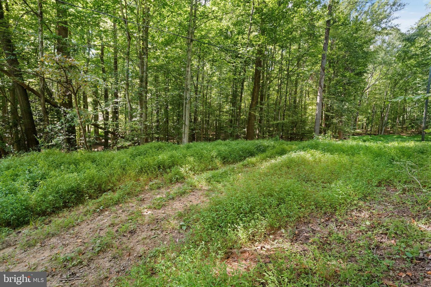 11938 HUNT RD, MANASSAS, Virginia 20112, ,Land,For sale,11938 HUNT RD,VAPW2102832 MLS # VAPW2102832