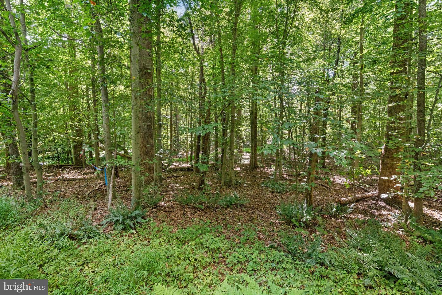 11938 HUNT RD, MANASSAS, Virginia 20112, ,Land,For sale,11938 HUNT RD,VAPW2102832 MLS # VAPW2102832