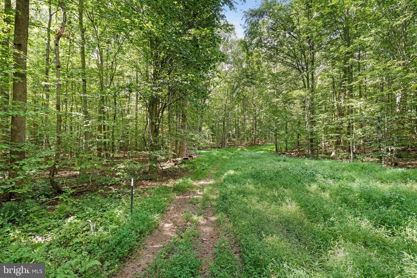11938 HUNT RD, MANASSAS, Virginia 20112, ,Land,For sale,11938 HUNT RD,VAPW2102832 MLS # VAPW2102832