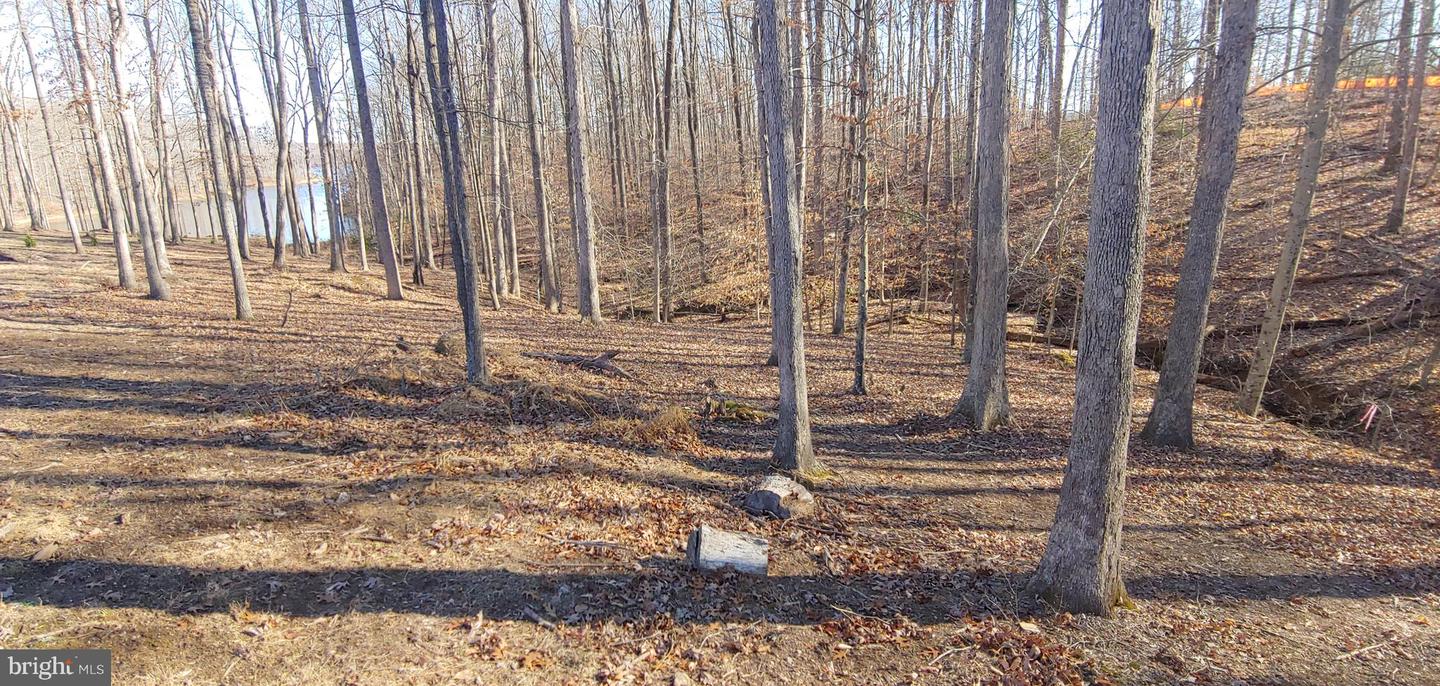 15220 LOST HORIZON LN, FREDERICKSBURG, Virginia 22407, ,Land,For sale,15220 LOST HORIZON LN,VASP2035888 MLS # VASP2035888
