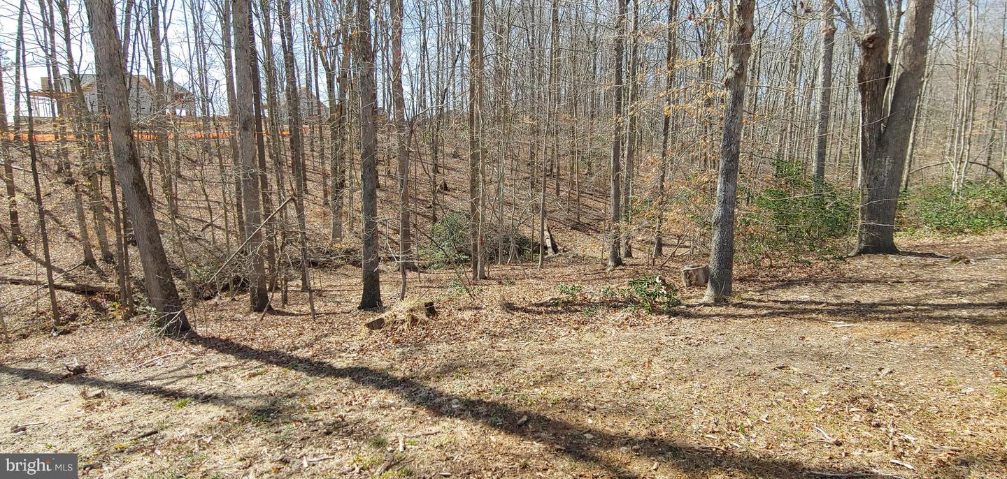 15220 LOST HORIZON LN, FREDERICKSBURG, Virginia 22407, ,Land,For sale,15220 LOST HORIZON LN,VASP2035888 MLS # VASP2035888