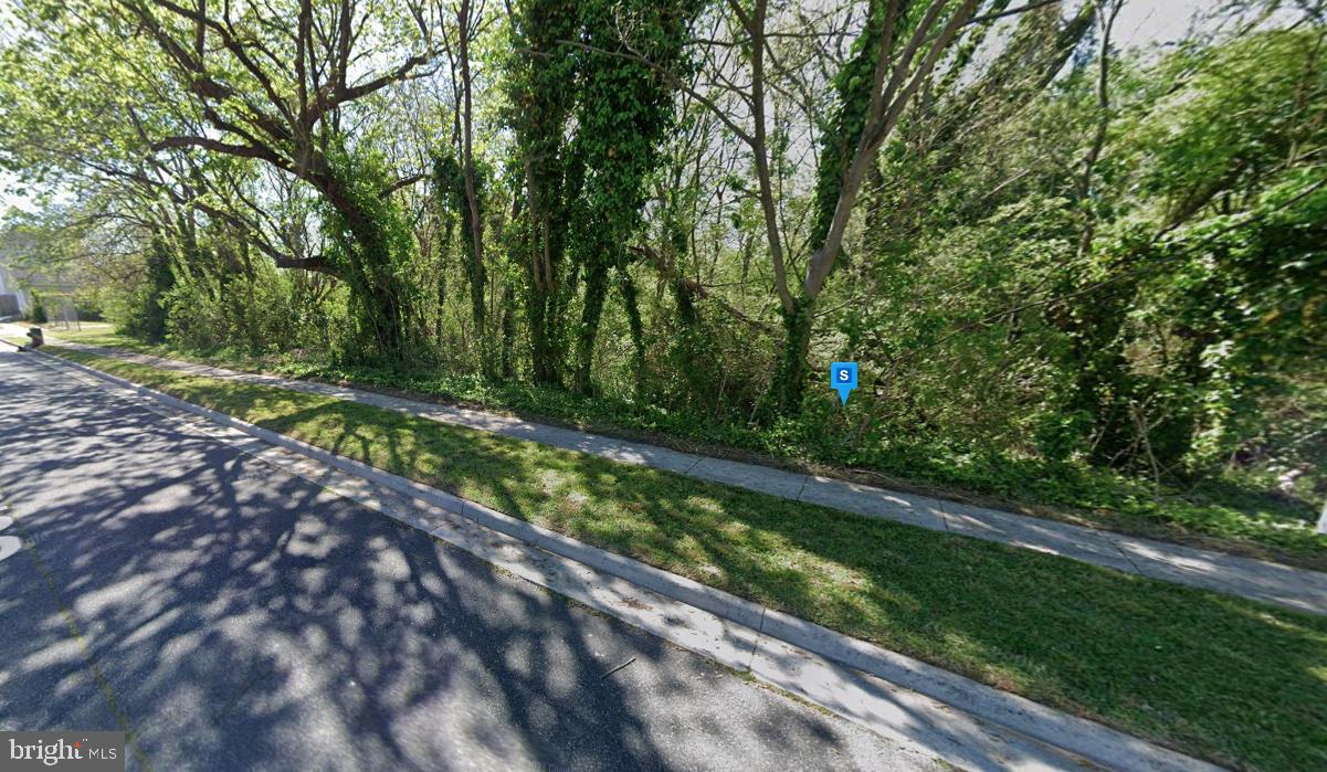 1331 SELDEN AVE, NORFOLK, Virginia 23523, ,Land,For sale,1331 SELDEN AVE,VANF2000086 MLS # VANF2000086