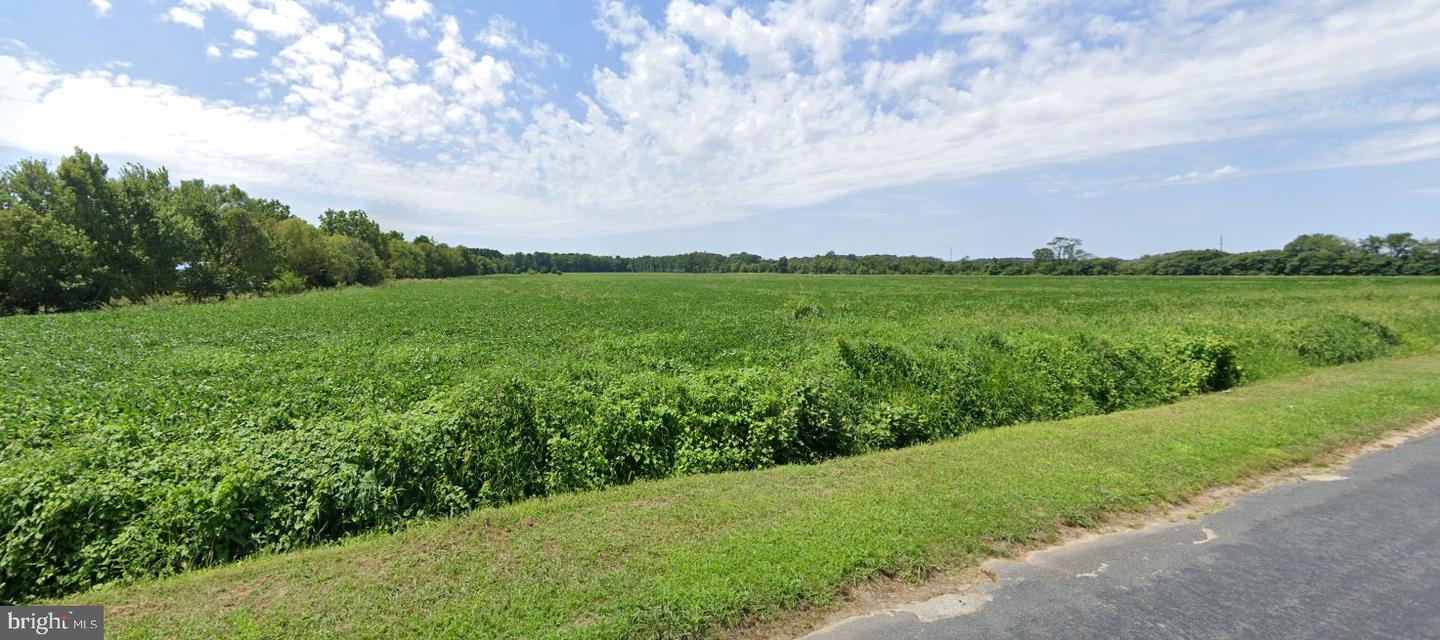 0 FISHER RD, PARKSLEY, Virginia 23421, ,Land,For sale,0 FISHER RD,VAAC2002206 MLS # VAAC2002206
