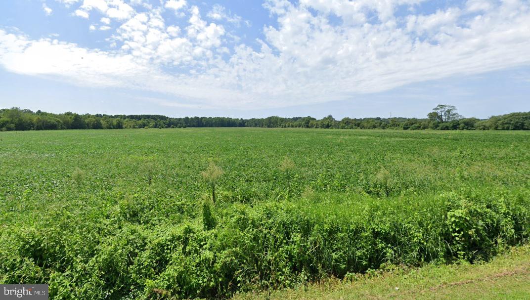 0 FISHER RD, PARKSLEY, Virginia 23421, ,Land,For sale,0 FISHER RD,VAAC2002206 MLS # VAAC2002206