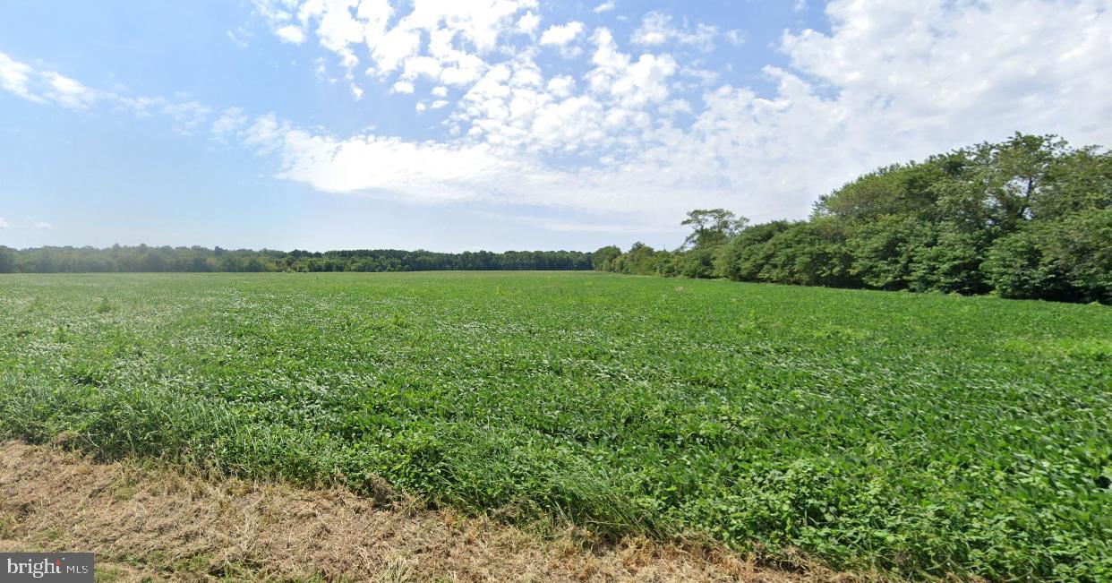 0 FISHER RD, PARKSLEY, Virginia 23421, ,Land,For sale,0 FISHER RD,VAAC2002206 MLS # VAAC2002206
