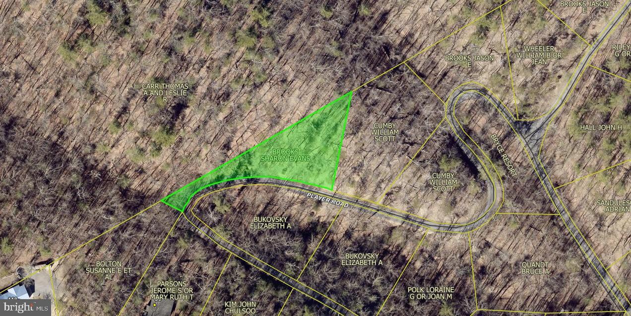 LOT 36 NICKLAUS DR, BASYE, Virginia 22810, ,Land,For sale,LOT 36 NICKLAUS DR,VASH2012372 MLS # VASH2012372