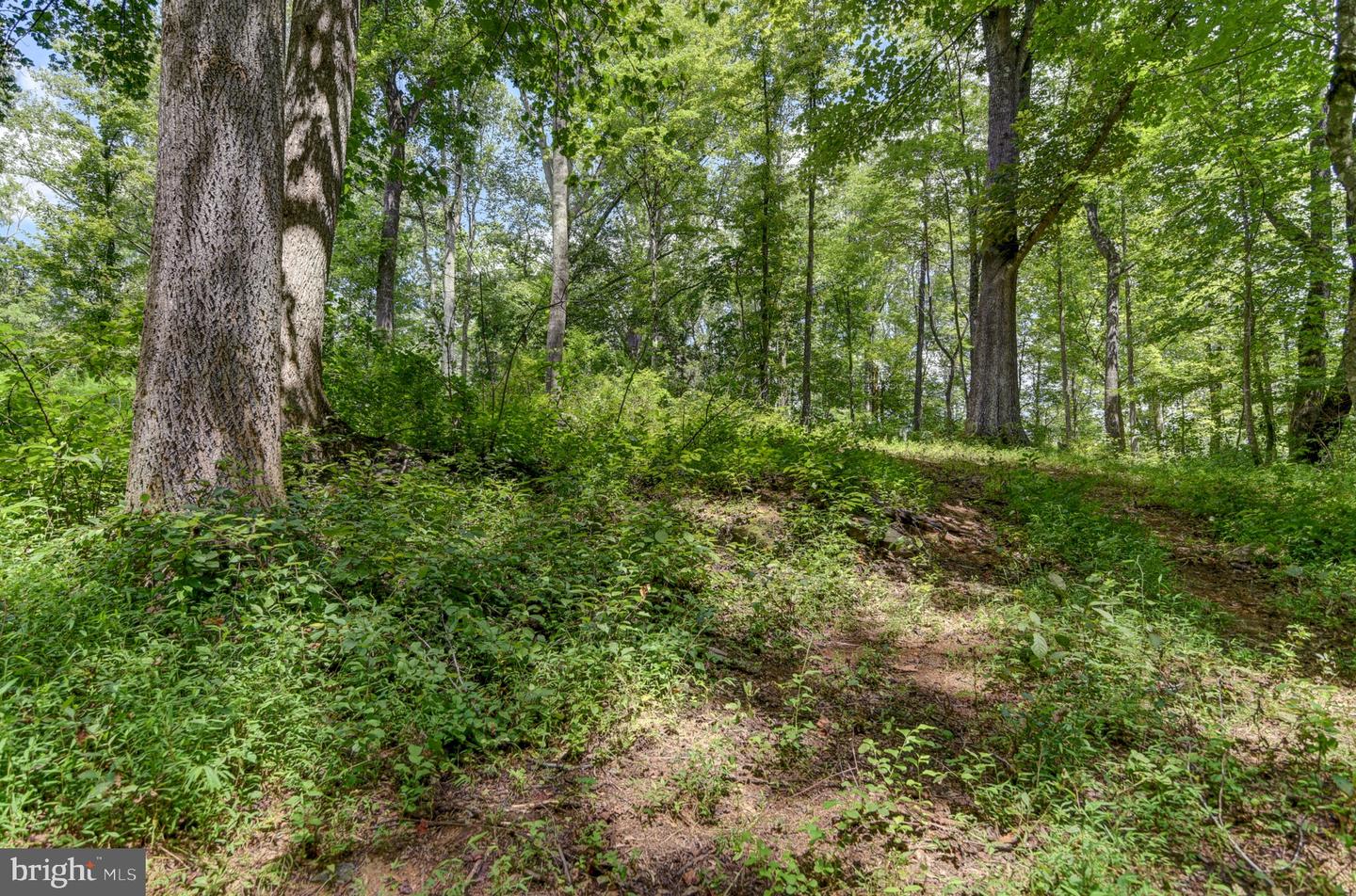0 N OTTER CREEK RD, BEDFORD, Virginia 24523, ,Land,For sale,0 N OTTER CREEK RD,VABV2000242 MLS # VABV2000242