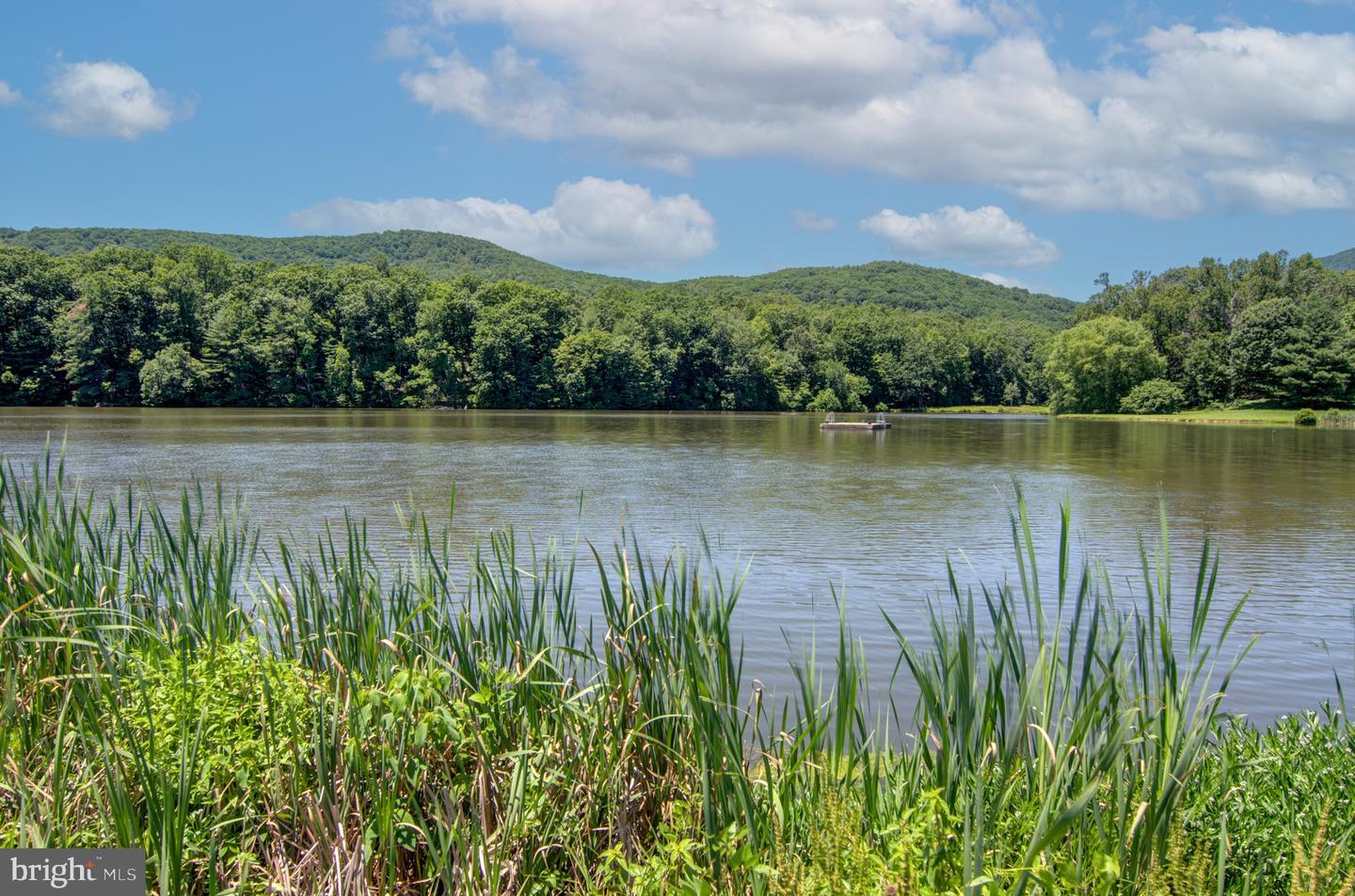 0 N OTTER CREEK RD, BEDFORD, Virginia 24523, ,Land,For sale,0 N OTTER CREEK RD,VABV2000242 MLS # VABV2000242