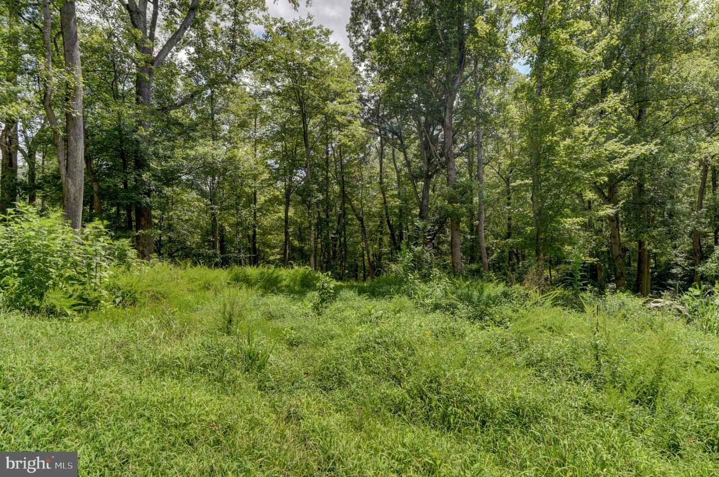0 N OTTER CREEK RD, BEDFORD, Virginia 24523, ,Land,For sale,0 N OTTER CREEK RD,VABV2000242 MLS # VABV2000242