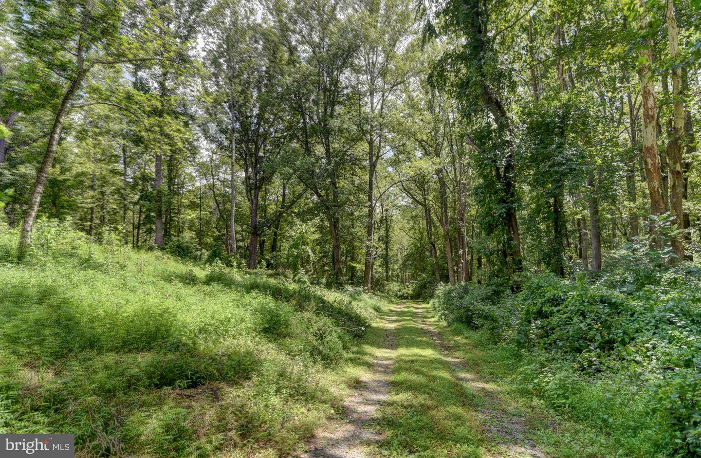 0 N OTTER CREEK RD, BEDFORD, Virginia 24523, ,Land,For sale,0 N OTTER CREEK RD,VABV2000242 MLS # VABV2000242