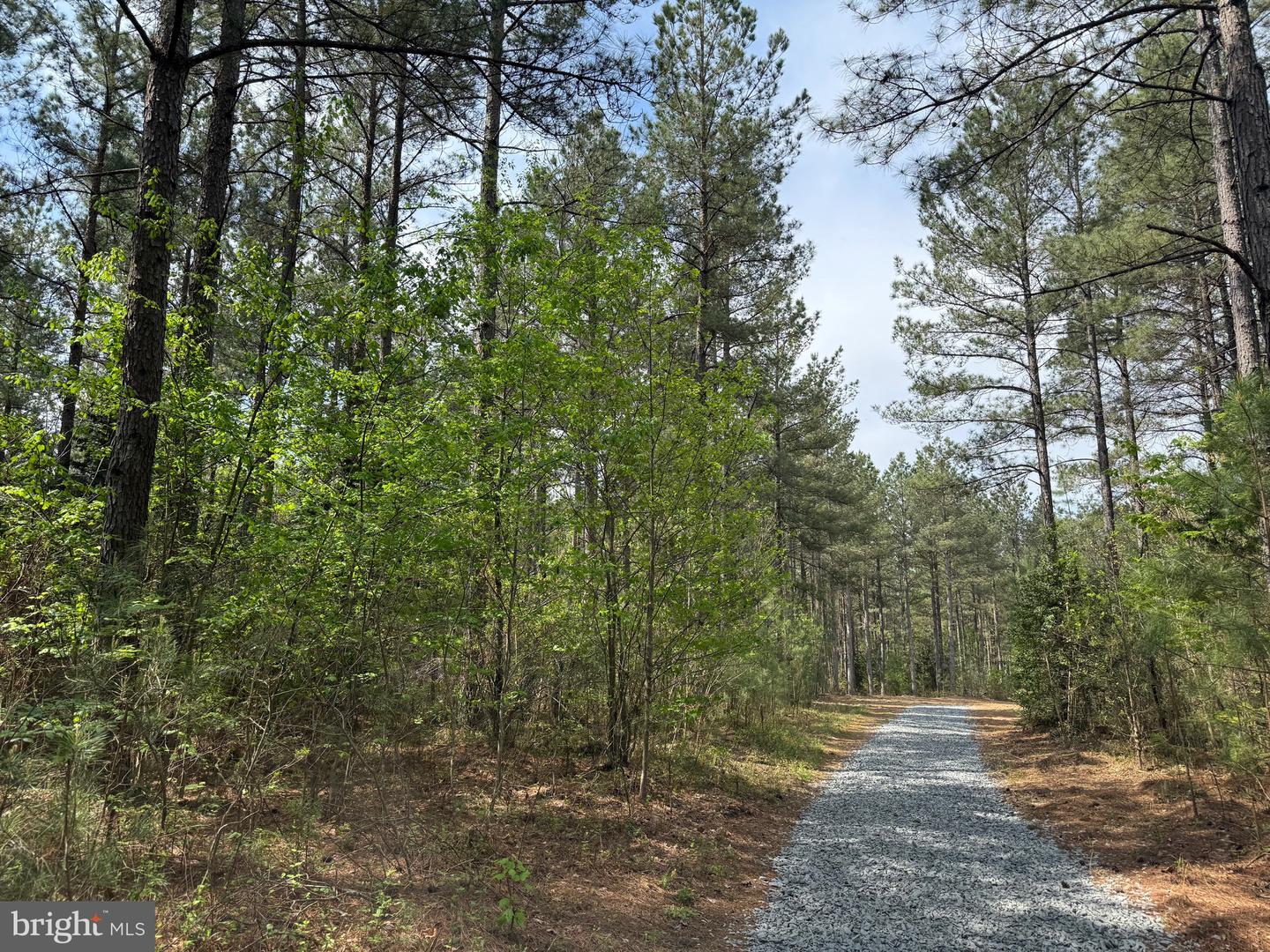 TBD 1 COVERED BRIDGE RD, KENTS STORE, Virginia 23084, ,Land,For sale,TBD 1 COVERED BRIDGE RD,VAFN2000498 MLS # VAFN2000498