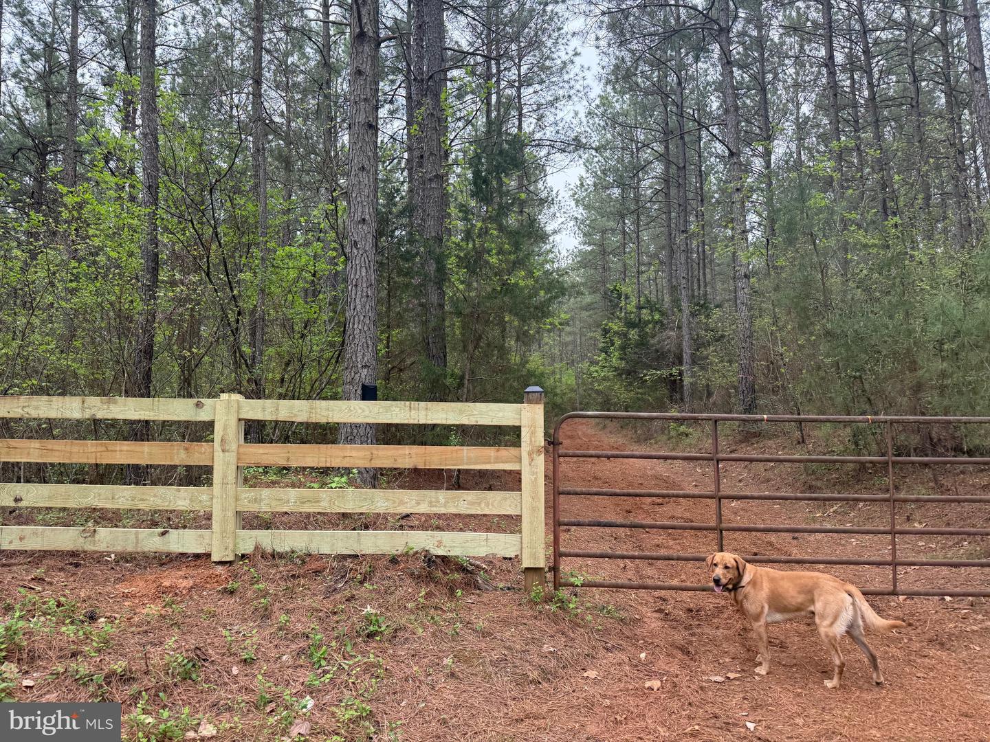 TBD 1 COVERED BRIDGE RD, KENTS STORE, Virginia 23084, ,Land,For sale,TBD 1 COVERED BRIDGE RD,VAFN2000498 MLS # VAFN2000498