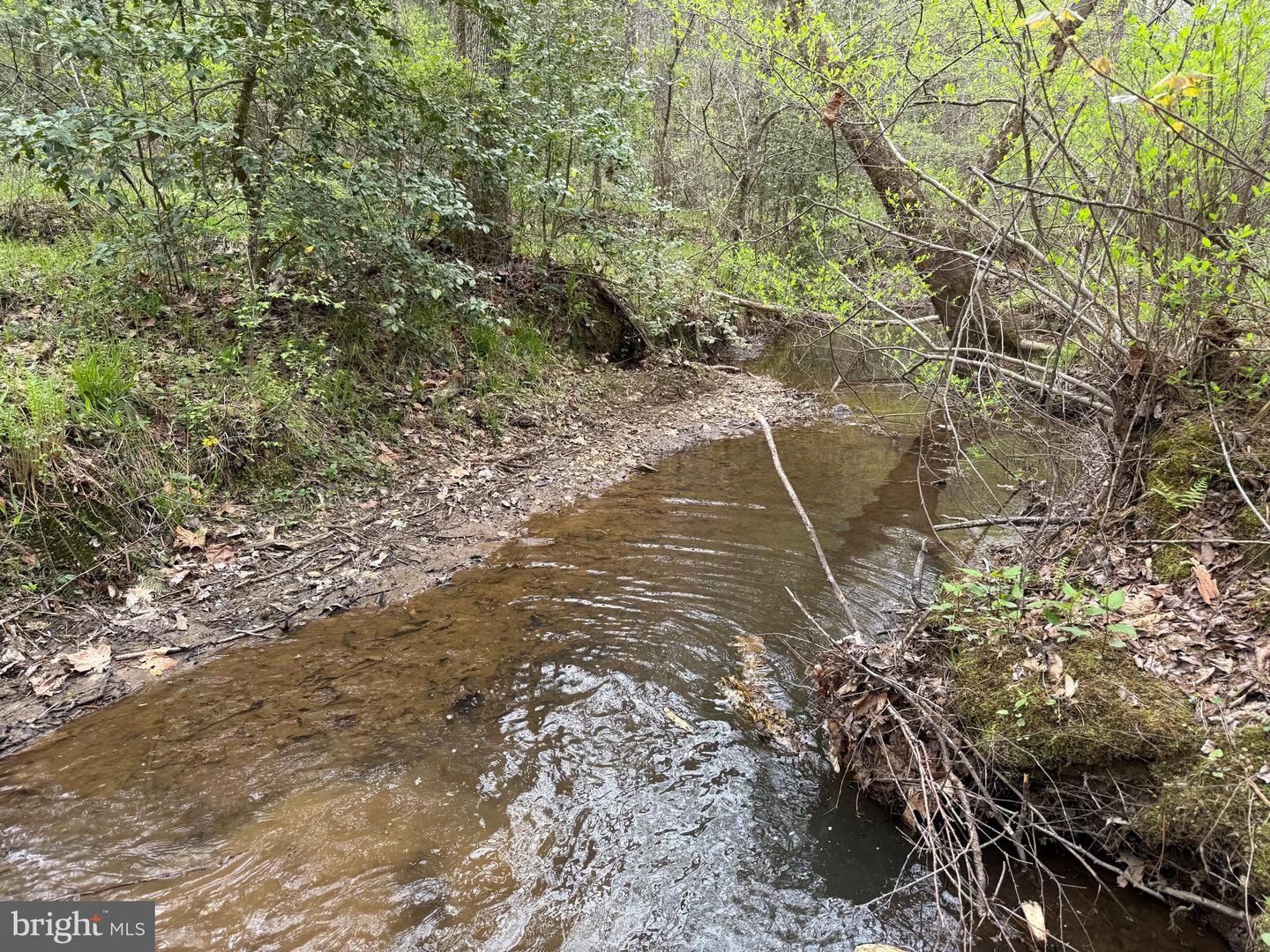 TBD 1 COVERED BRIDGE RD, KENTS STORE, Virginia 23084, ,Land,For sale,TBD 1 COVERED BRIDGE RD,VAFN2000498 MLS # VAFN2000498