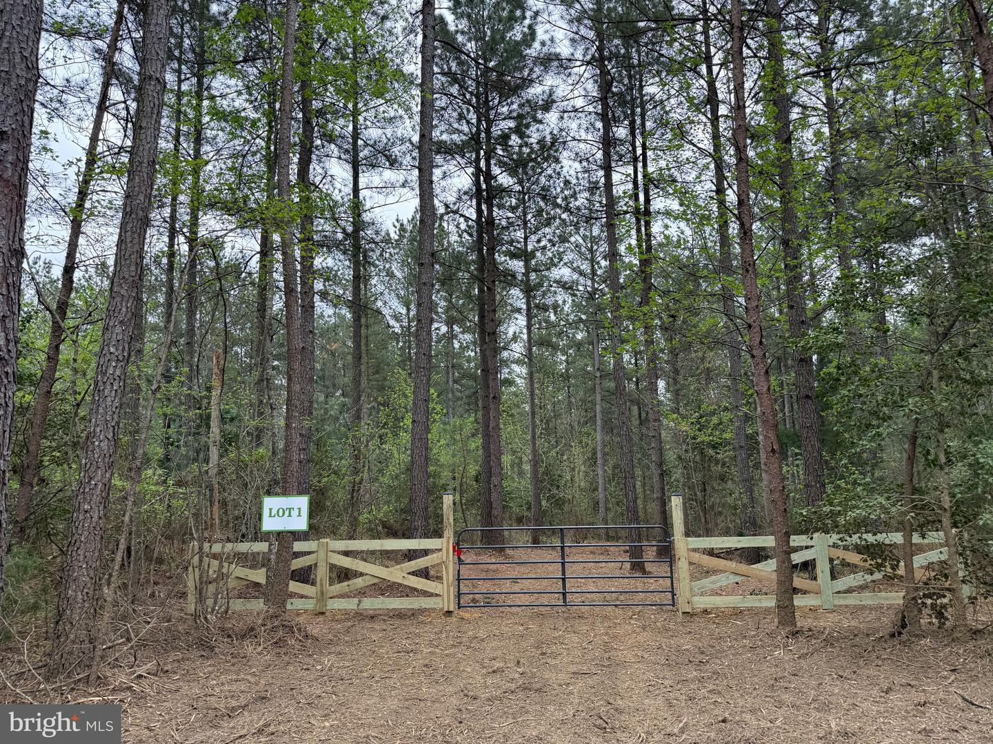 TBD 1 COVERED BRIDGE RD, KENTS STORE, Virginia 23084, ,Land,For sale,TBD 1 COVERED BRIDGE RD,VAFN2000498 MLS # VAFN2000498
