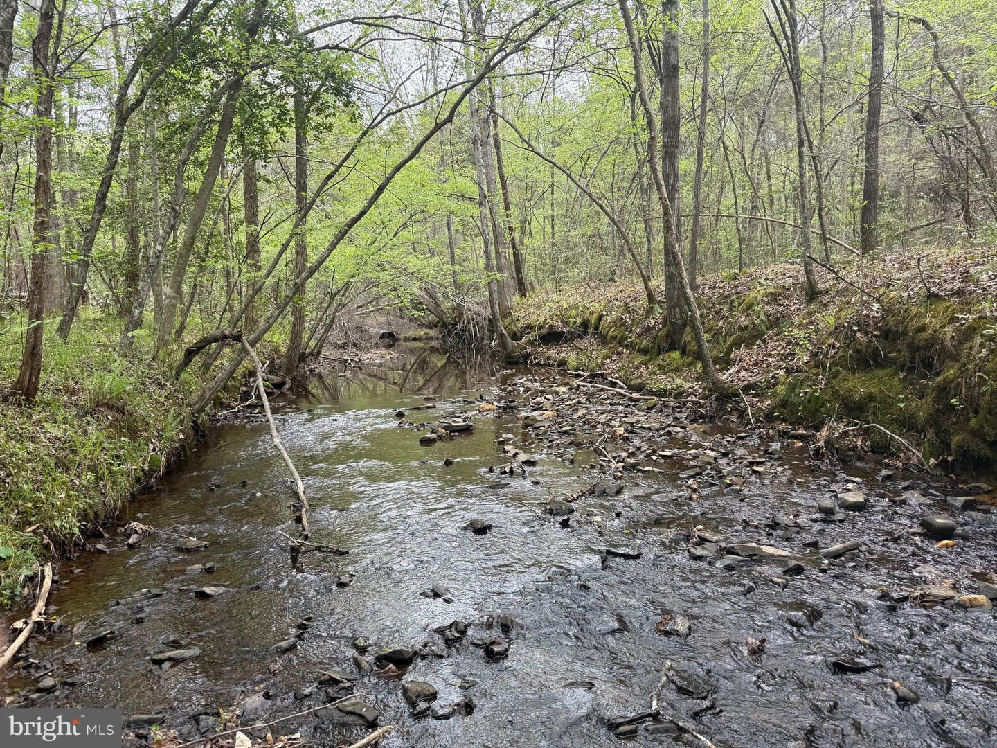 TBD 1 COVERED BRIDGE RD, KENTS STORE, Virginia 23084, ,Land,For sale,TBD 1 COVERED BRIDGE RD,VAFN2000498 MLS # VAFN2000498