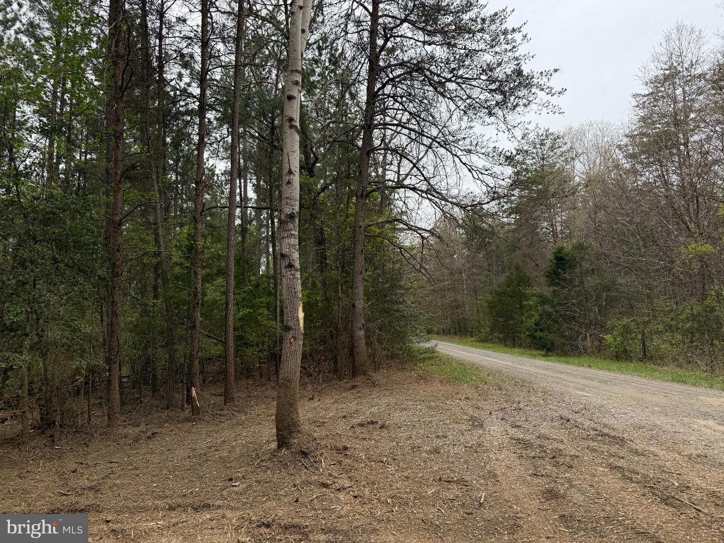TBD 1 COVERED BRIDGE RD, KENTS STORE, Virginia 23084, ,Land,For sale,TBD 1 COVERED BRIDGE RD,VAFN2000498 MLS # VAFN2000498