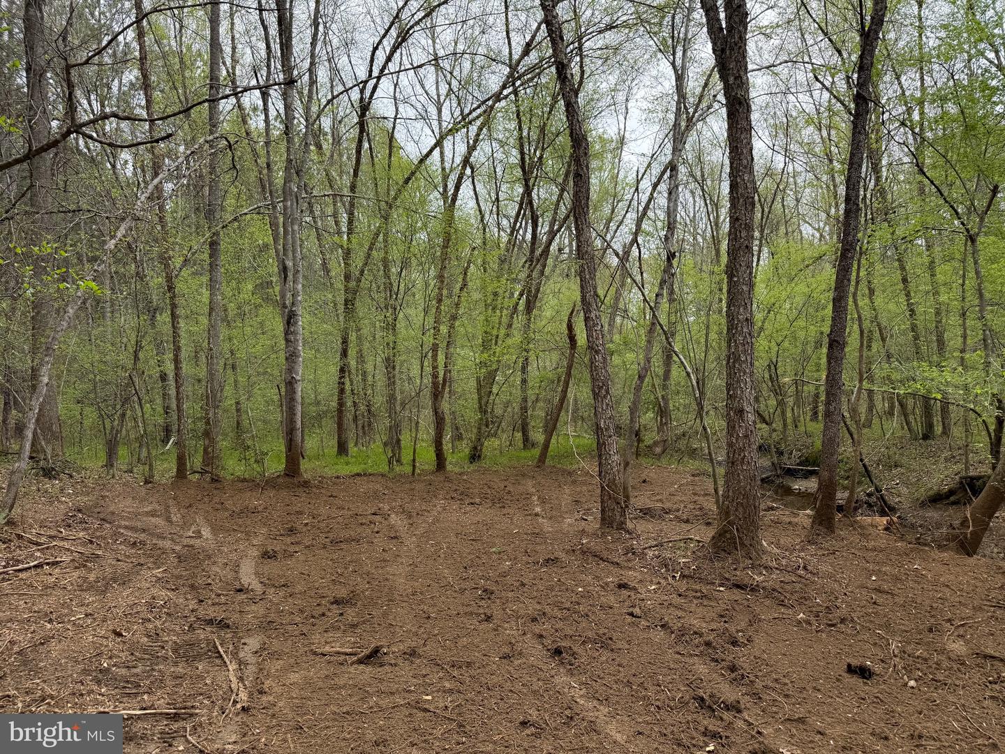 TBD 1 COVERED BRIDGE RD, KENTS STORE, Virginia 23084, ,Land,For sale,TBD 1 COVERED BRIDGE RD,VAFN2000498 MLS # VAFN2000498