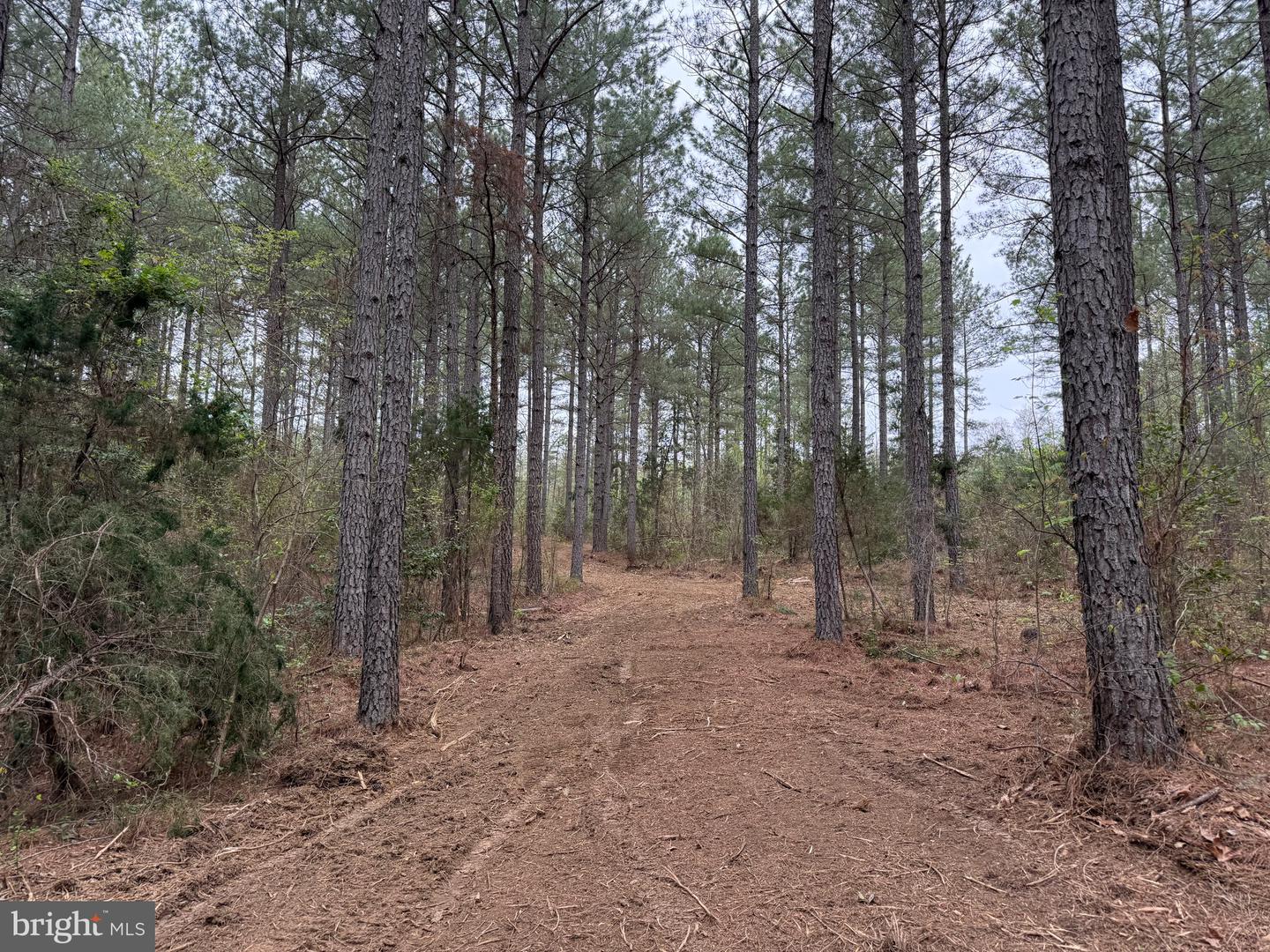 TBD 1 COVERED BRIDGE RD, KENTS STORE, Virginia 23084, ,Land,For sale,TBD 1 COVERED BRIDGE RD,VAFN2000498 MLS # VAFN2000498