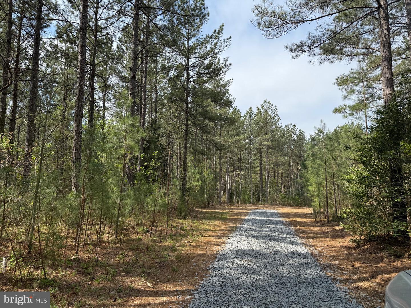TBD 1 COVERED BRIDGE RD, KENTS STORE, Virginia 23084, ,Land,For sale,TBD 1 COVERED BRIDGE RD,VAFN2000498 MLS # VAFN2000498