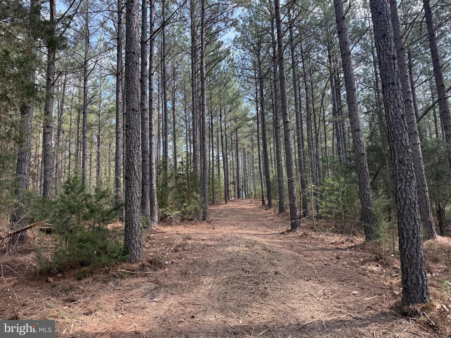 TBD 1 COVERED BRIDGE RD, KENTS STORE, Virginia 23084, ,Land,For sale,TBD 1 COVERED BRIDGE RD,VAFN2000498 MLS # VAFN2000498