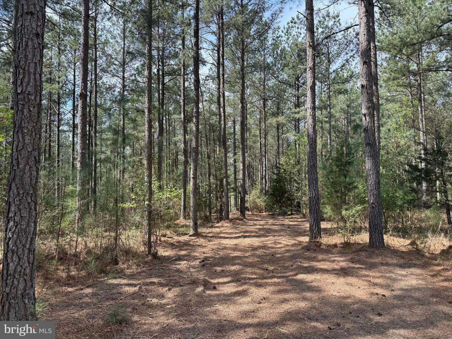 TBD 1 COVERED BRIDGE RD, KENTS STORE, Virginia 23084, ,Land,For sale,TBD 1 COVERED BRIDGE RD,VAFN2000498 MLS # VAFN2000498