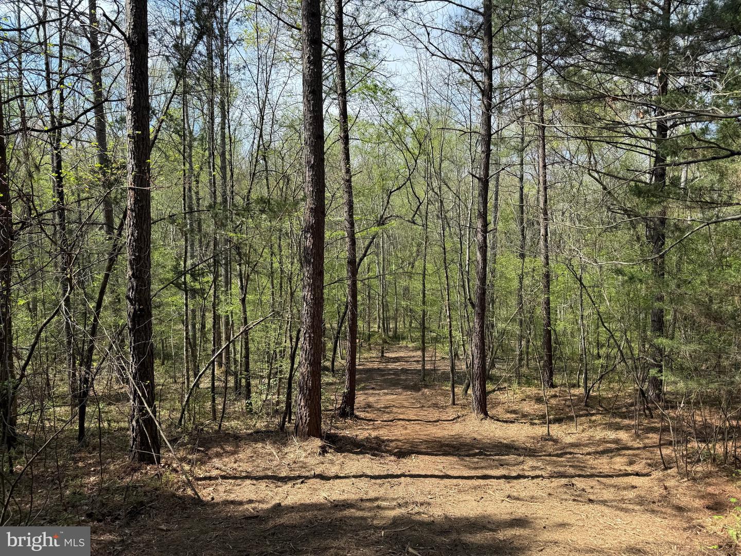 TBD 1 COVERED BRIDGE RD, KENTS STORE, Virginia 23084, ,Land,For sale,TBD 1 COVERED BRIDGE RD,VAFN2000498 MLS # VAFN2000498