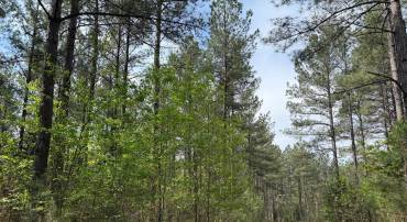 TBD 1 COVERED BRIDGE RD, KENTS STORE, Virginia 23084, ,Land,For sale,TBD 1 COVERED BRIDGE RD,VAFN2000498 MLS # VAFN2000498