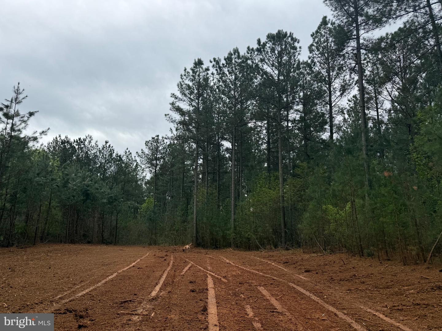 TBD 4 COVERED BRIDGE RD, KENTS STORE, Virginia 23084, ,Land,For sale,TBD 4 COVERED BRIDGE RD,VAFN2000500 MLS # VAFN2000500