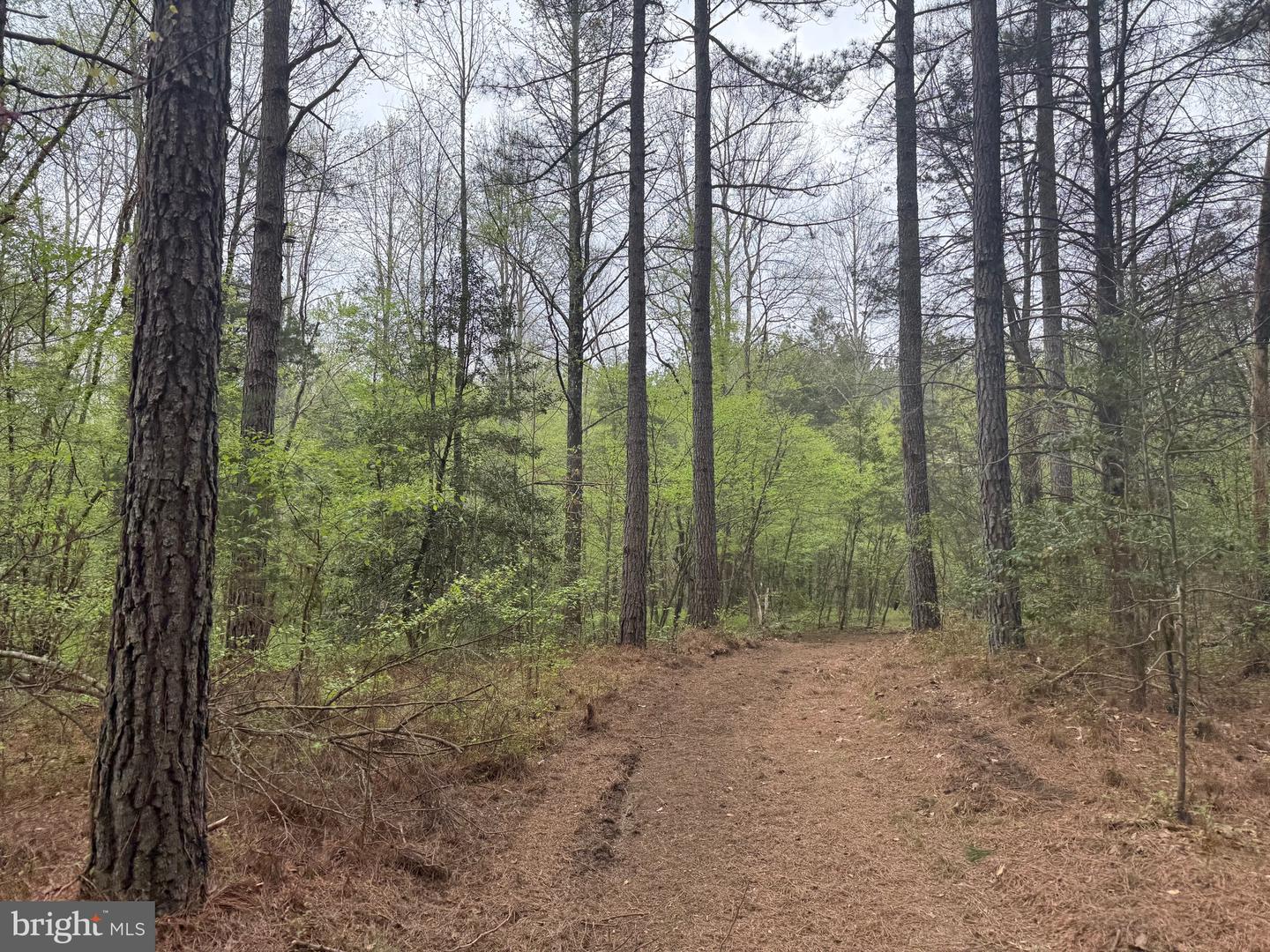 TBD 4 COVERED BRIDGE RD, KENTS STORE, Virginia 23084, ,Land,For sale,TBD 4 COVERED BRIDGE RD,VAFN2000500 MLS # VAFN2000500