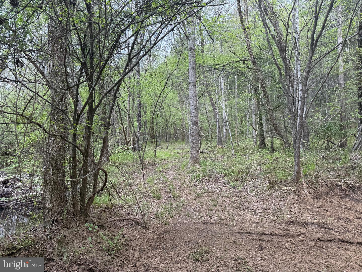 TBD 4 COVERED BRIDGE RD, KENTS STORE, Virginia 23084, ,Land,For sale,TBD 4 COVERED BRIDGE RD,VAFN2000500 MLS # VAFN2000500