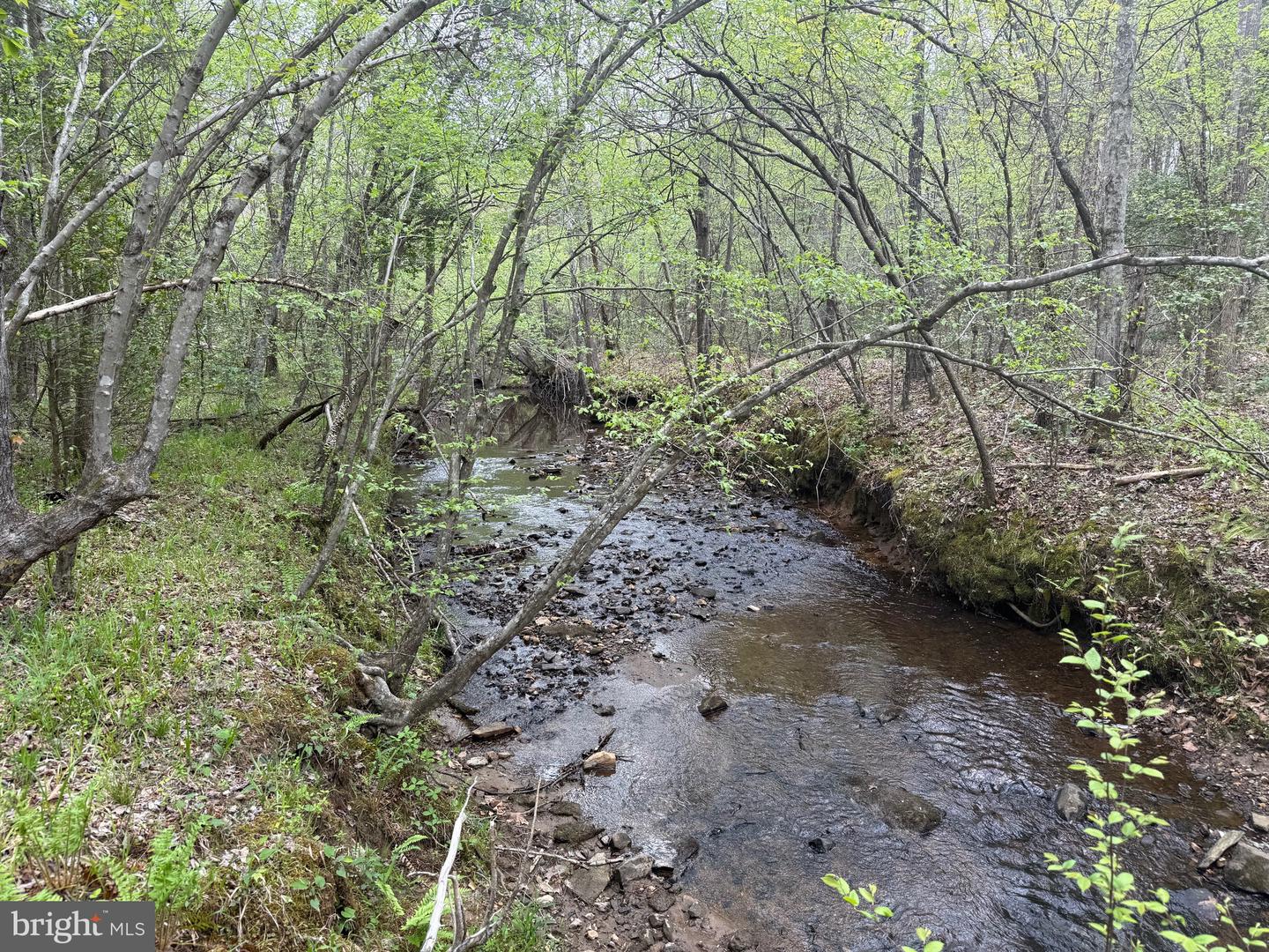 TBD 4 COVERED BRIDGE RD, KENTS STORE, Virginia 23084, ,Land,For sale,TBD 4 COVERED BRIDGE RD,VAFN2000500 MLS # VAFN2000500