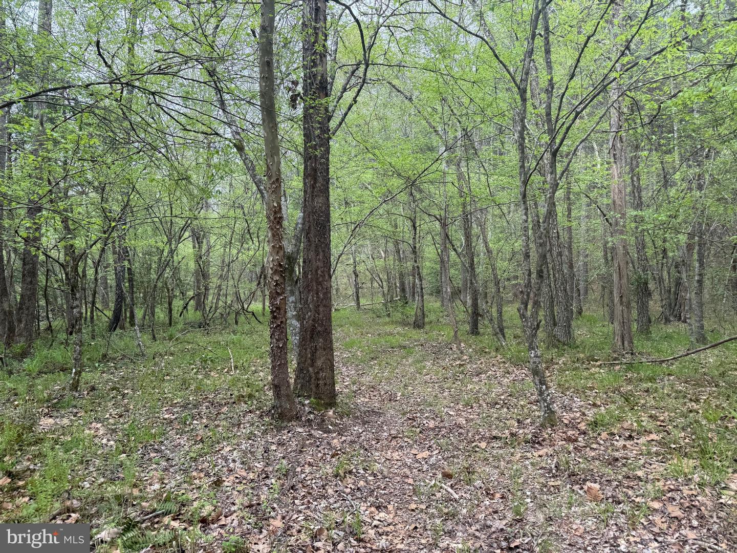 TBD 4 COVERED BRIDGE RD, KENTS STORE, Virginia 23084, ,Land,For sale,TBD 4 COVERED BRIDGE RD,VAFN2000500 MLS # VAFN2000500