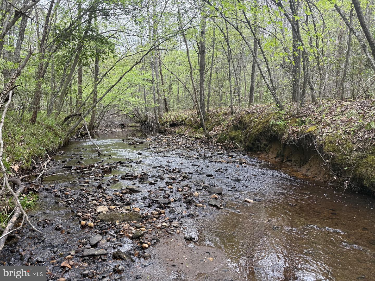 TBD 4 COVERED BRIDGE RD, KENTS STORE, Virginia 23084, ,Land,For sale,TBD 4 COVERED BRIDGE RD,VAFN2000500 MLS # VAFN2000500
