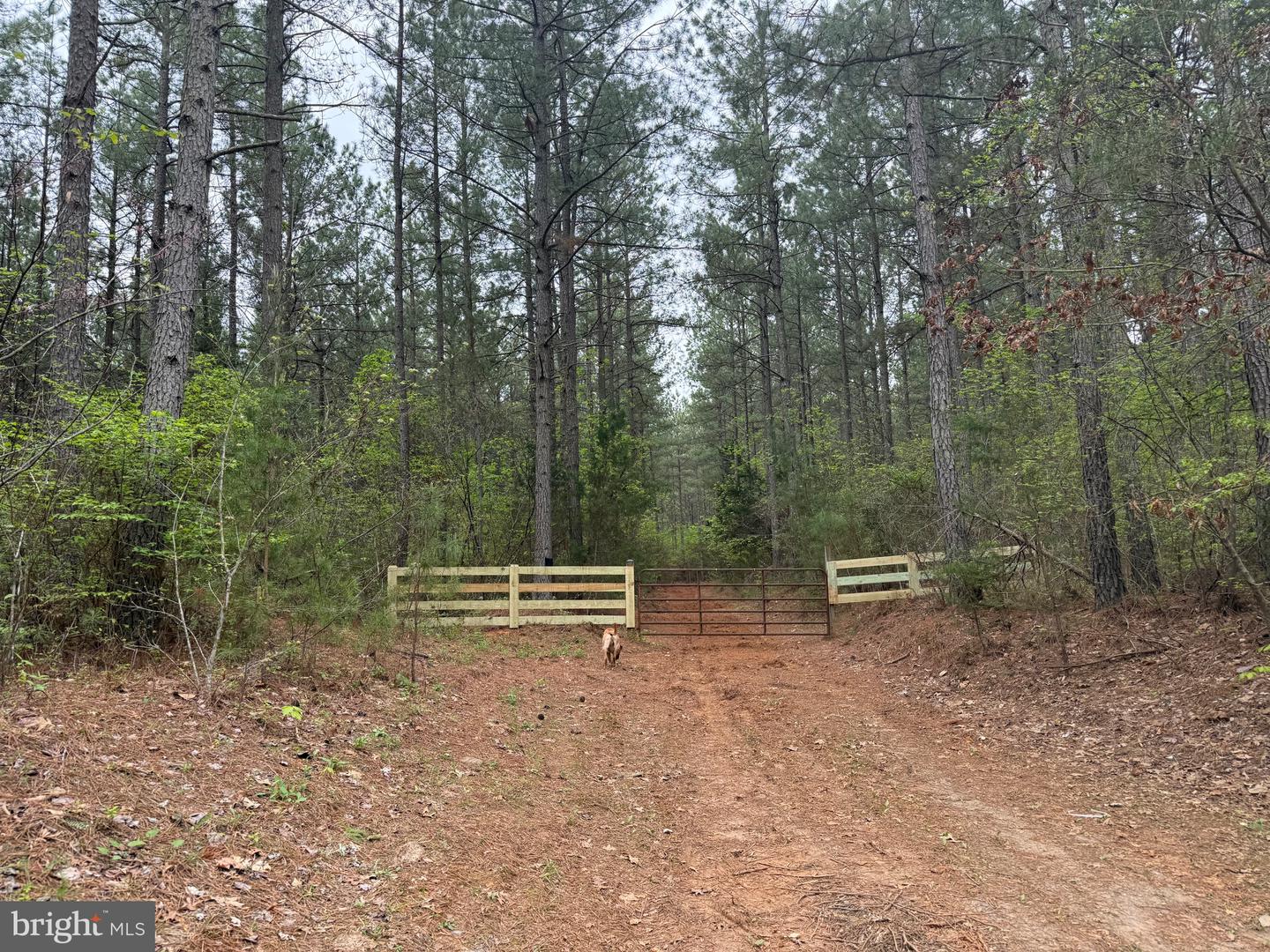 TBD 4 COVERED BRIDGE RD, KENTS STORE, Virginia 23084, ,Land,For sale,TBD 4 COVERED BRIDGE RD,VAFN2000500 MLS # VAFN2000500