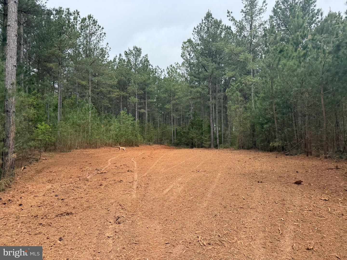 TBD 4 COVERED BRIDGE RD, KENTS STORE, Virginia 23084, ,Land,For sale,TBD 4 COVERED BRIDGE RD,VAFN2000500 MLS # VAFN2000500
