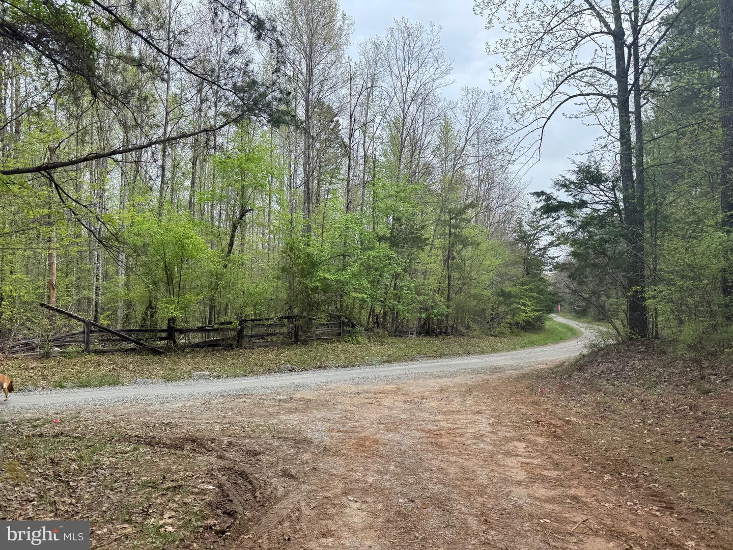 TBD 4 COVERED BRIDGE RD, KENTS STORE, Virginia 23084, ,Land,For sale,TBD 4 COVERED BRIDGE RD,VAFN2000500 MLS # VAFN2000500
