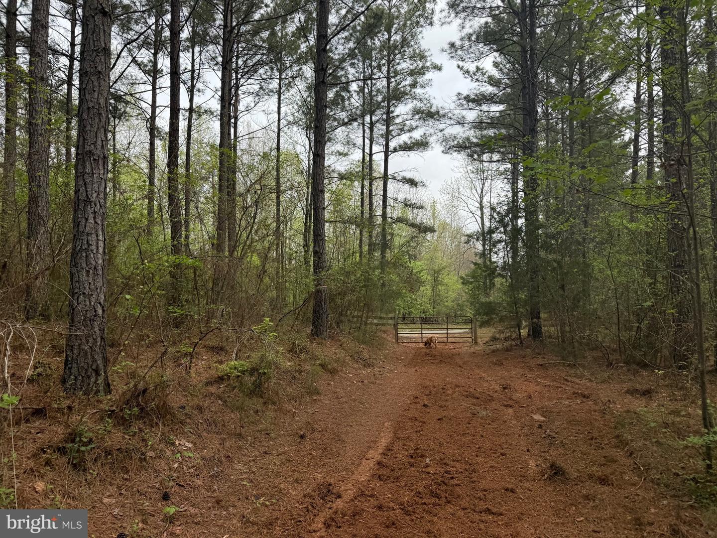 TBD 4 COVERED BRIDGE RD, KENTS STORE, Virginia 23084, ,Land,For sale,TBD 4 COVERED BRIDGE RD,VAFN2000500 MLS # VAFN2000500