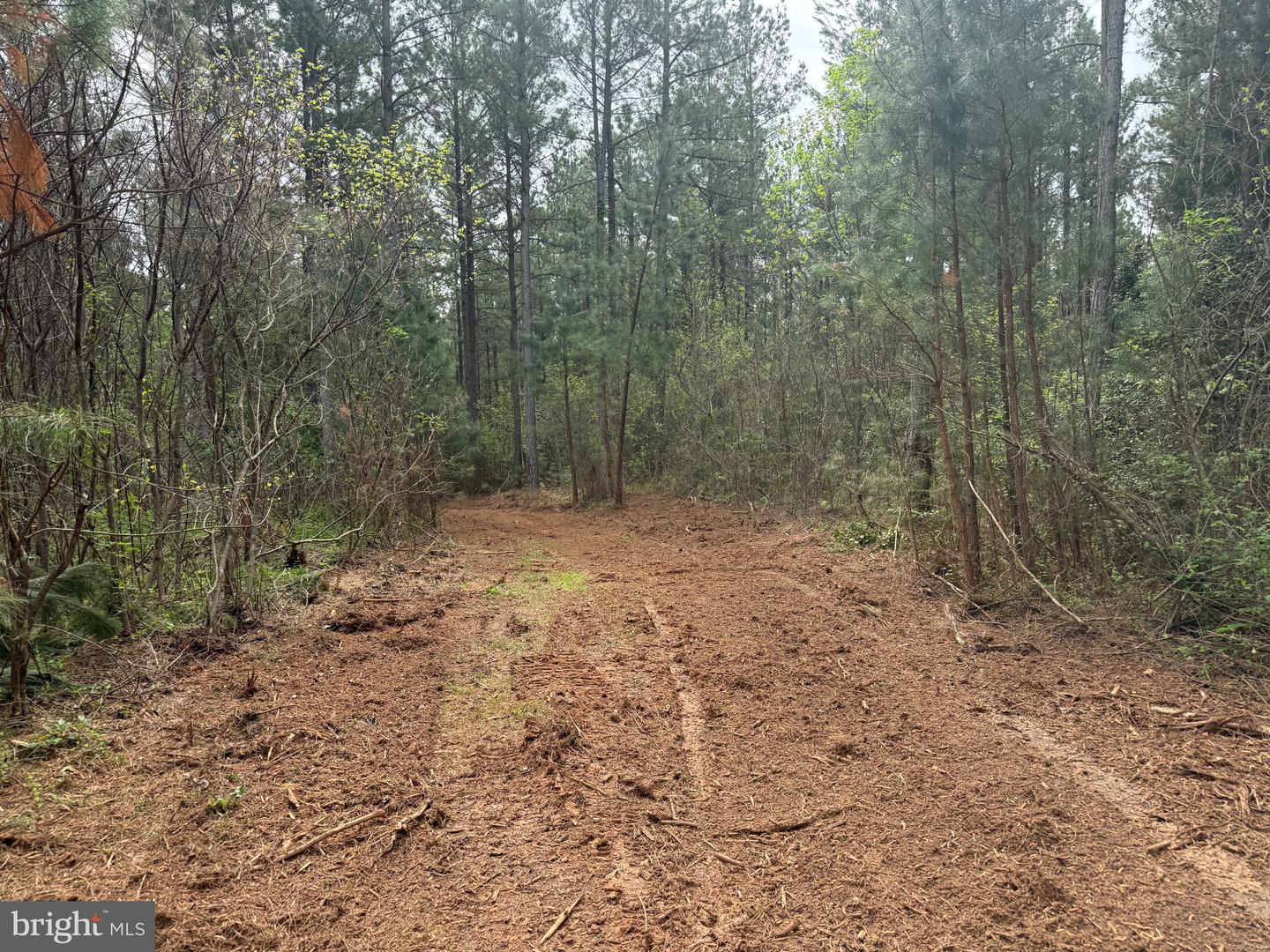 TBD 4 COVERED BRIDGE RD, KENTS STORE, Virginia 23084, ,Land,For sale,TBD 4 COVERED BRIDGE RD,VAFN2000500 MLS # VAFN2000500