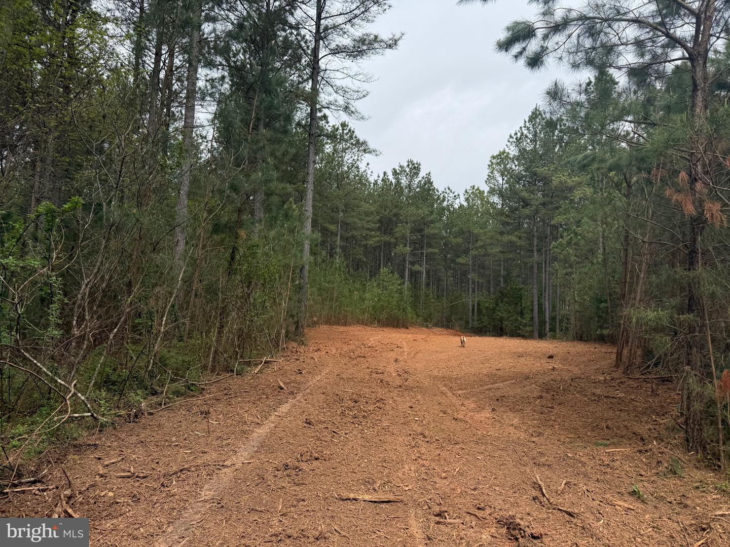 TBD 4 COVERED BRIDGE RD, KENTS STORE, Virginia 23084, ,Land,For sale,TBD 4 COVERED BRIDGE RD,VAFN2000500 MLS # VAFN2000500
