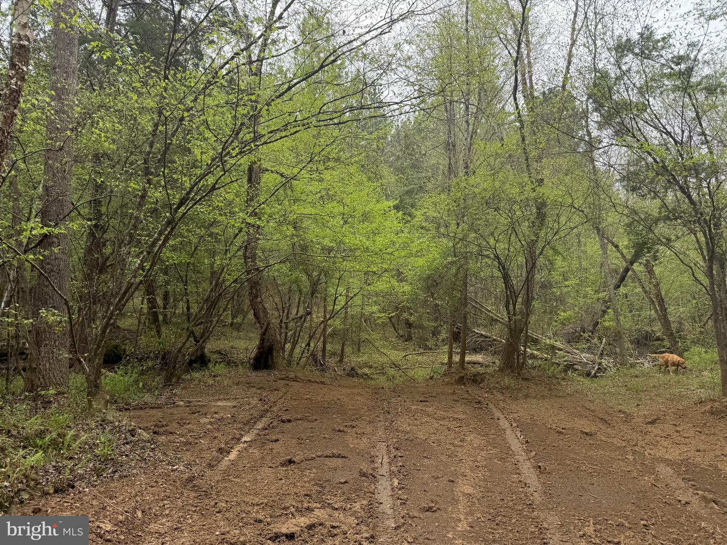 TBD 4 COVERED BRIDGE RD, KENTS STORE, Virginia 23084, ,Land,For sale,TBD 4 COVERED BRIDGE RD,VAFN2000500 MLS # VAFN2000500