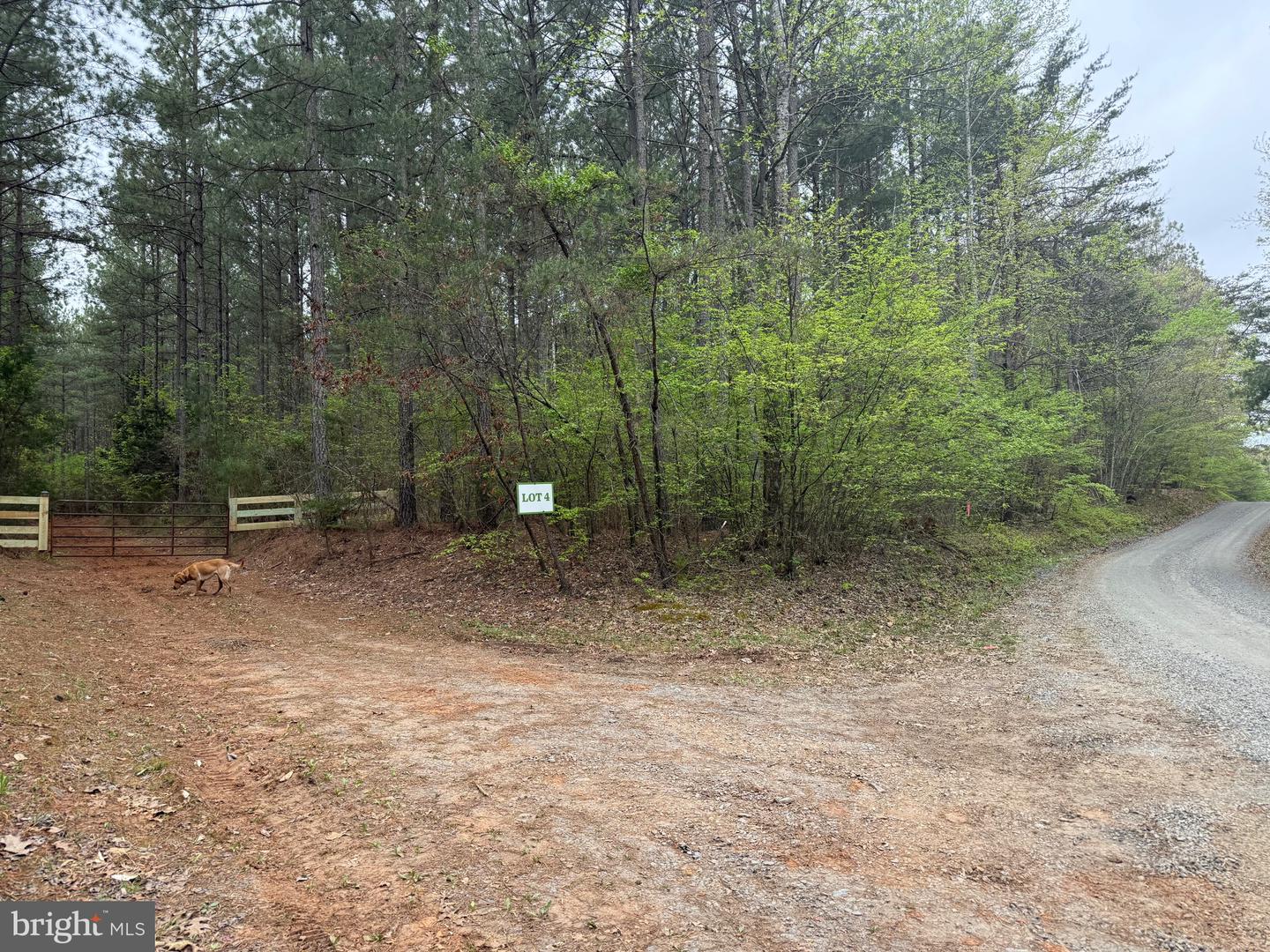 TBD 4 COVERED BRIDGE RD, KENTS STORE, Virginia 23084, ,Land,For sale,TBD 4 COVERED BRIDGE RD,VAFN2000500 MLS # VAFN2000500