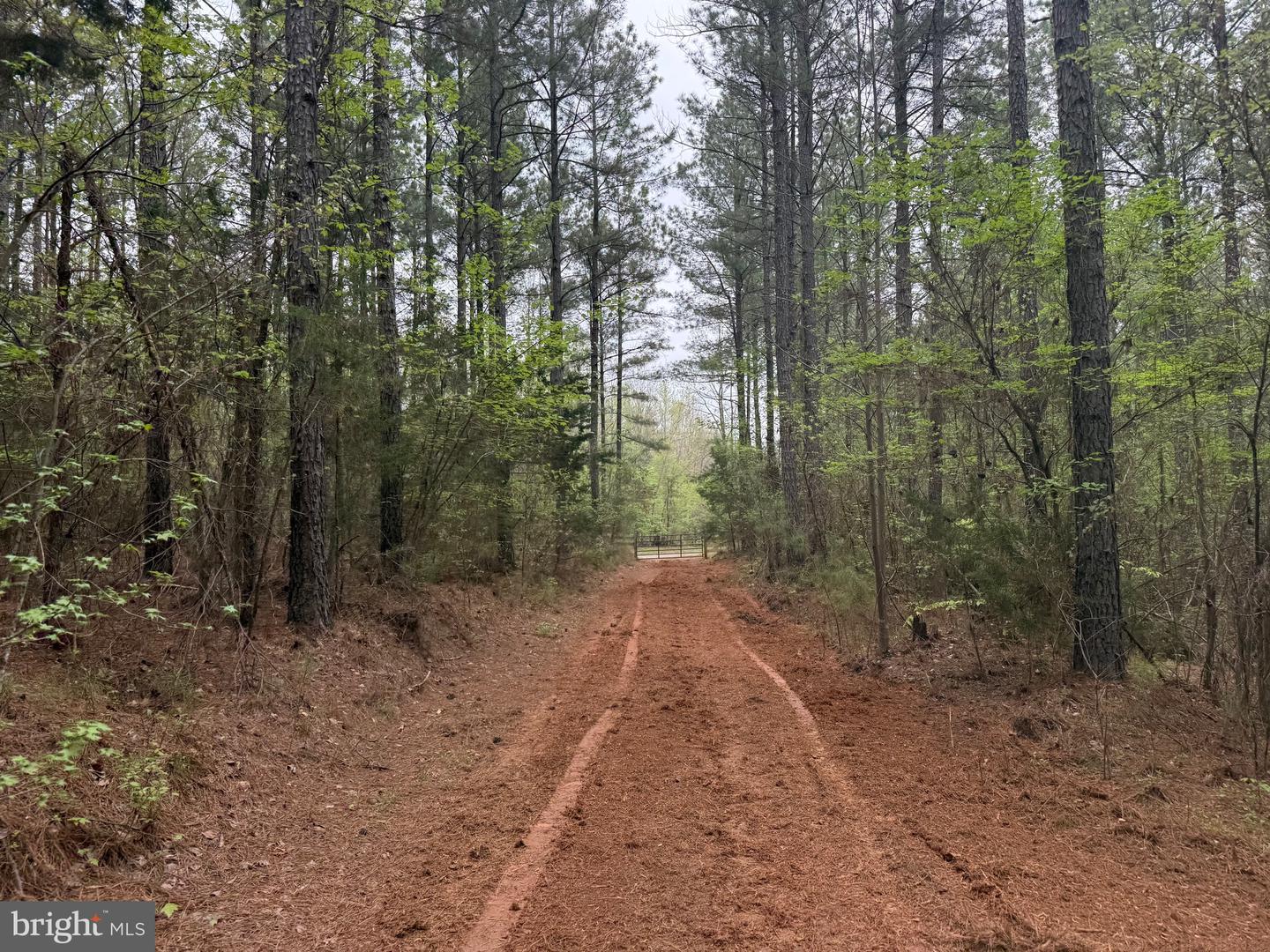 TBD 4 COVERED BRIDGE RD, KENTS STORE, Virginia 23084, ,Land,For sale,TBD 4 COVERED BRIDGE RD,VAFN2000500 MLS # VAFN2000500