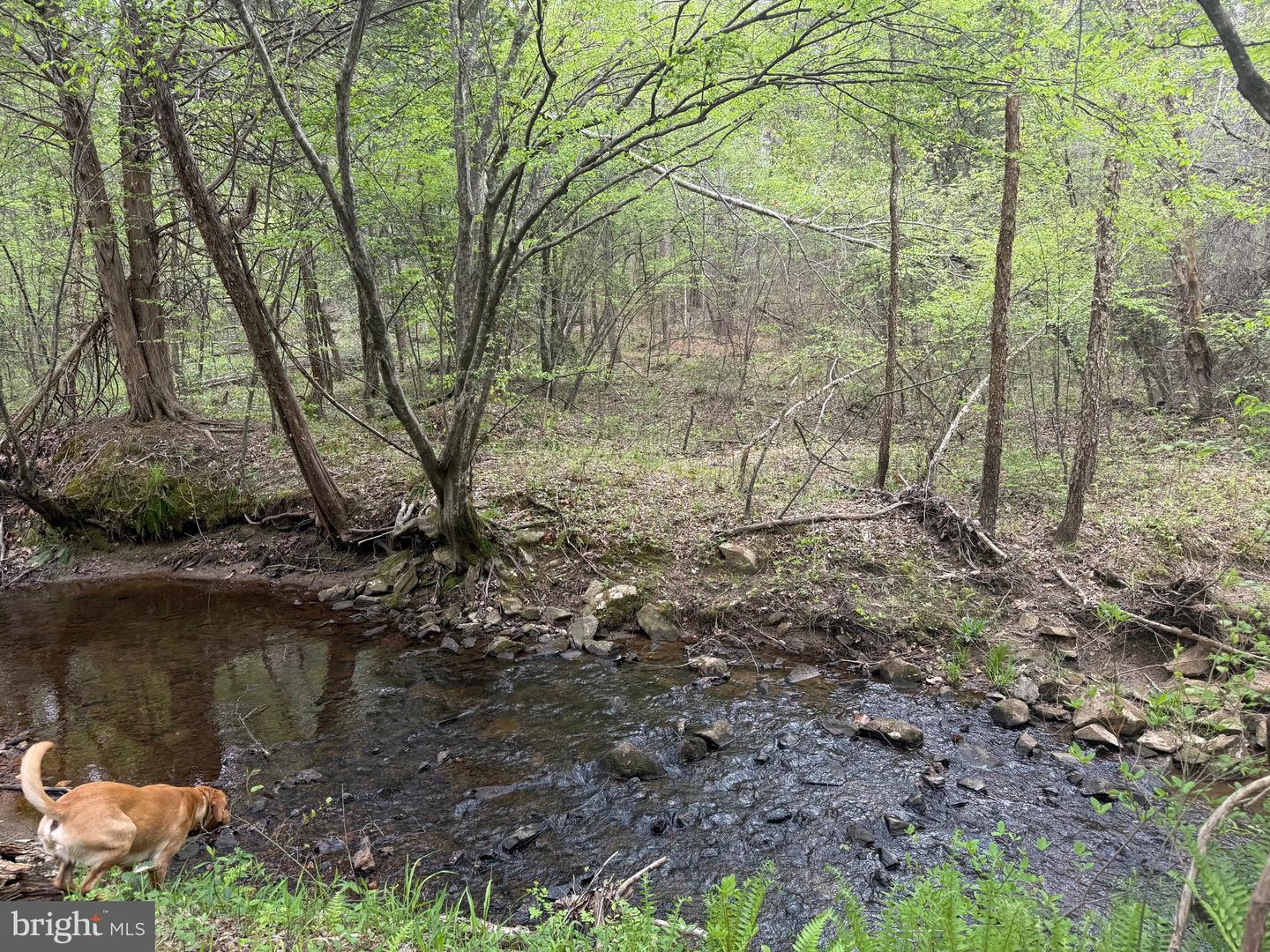 TBD 4 COVERED BRIDGE RD, KENTS STORE, Virginia 23084, ,Land,For sale,TBD 4 COVERED BRIDGE RD,VAFN2000500 MLS # VAFN2000500