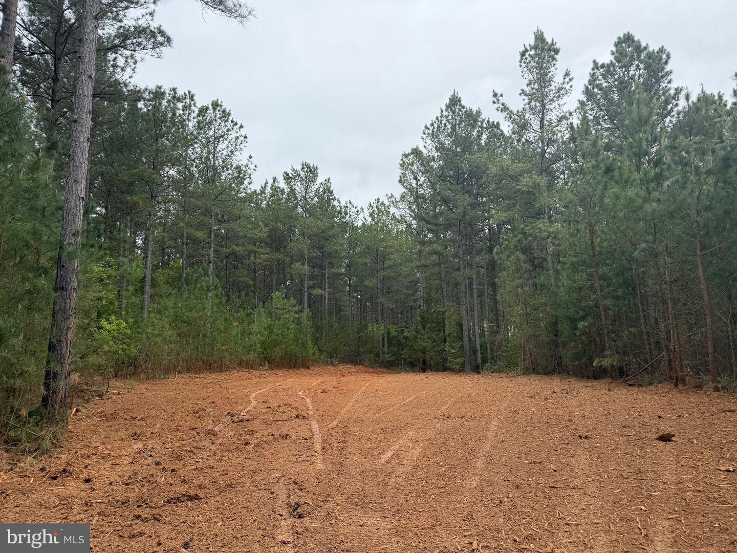TBD 4 COVERED BRIDGE RD, KENTS STORE, Virginia 23084, ,Land,For sale,TBD 4 COVERED BRIDGE RD,VAFN2000500 MLS # VAFN2000500