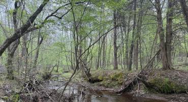 TBD 4 COVERED BRIDGE RD, KENTS STORE, Virginia 23084, ,Land,For sale,TBD 4 COVERED BRIDGE RD,VAFN2000500 MLS # VAFN2000500