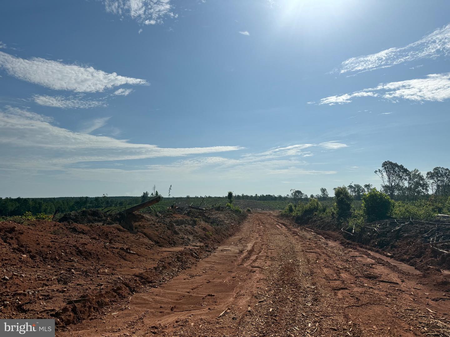 TBD CARY SHOP RD, BURKEVILLE, Virginia 23922, ,Farm,For sale,TBD CARY SHOP RD,VANW2000060 MLS # VANW2000060