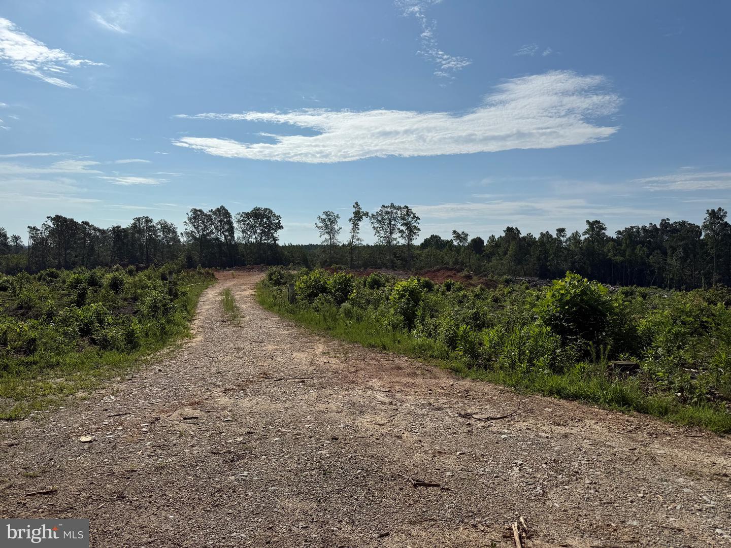 TBD CARY SHOP RD, BURKEVILLE, Virginia 23922, ,Farm,For sale,TBD CARY SHOP RD,VANW2000060 MLS # VANW2000060