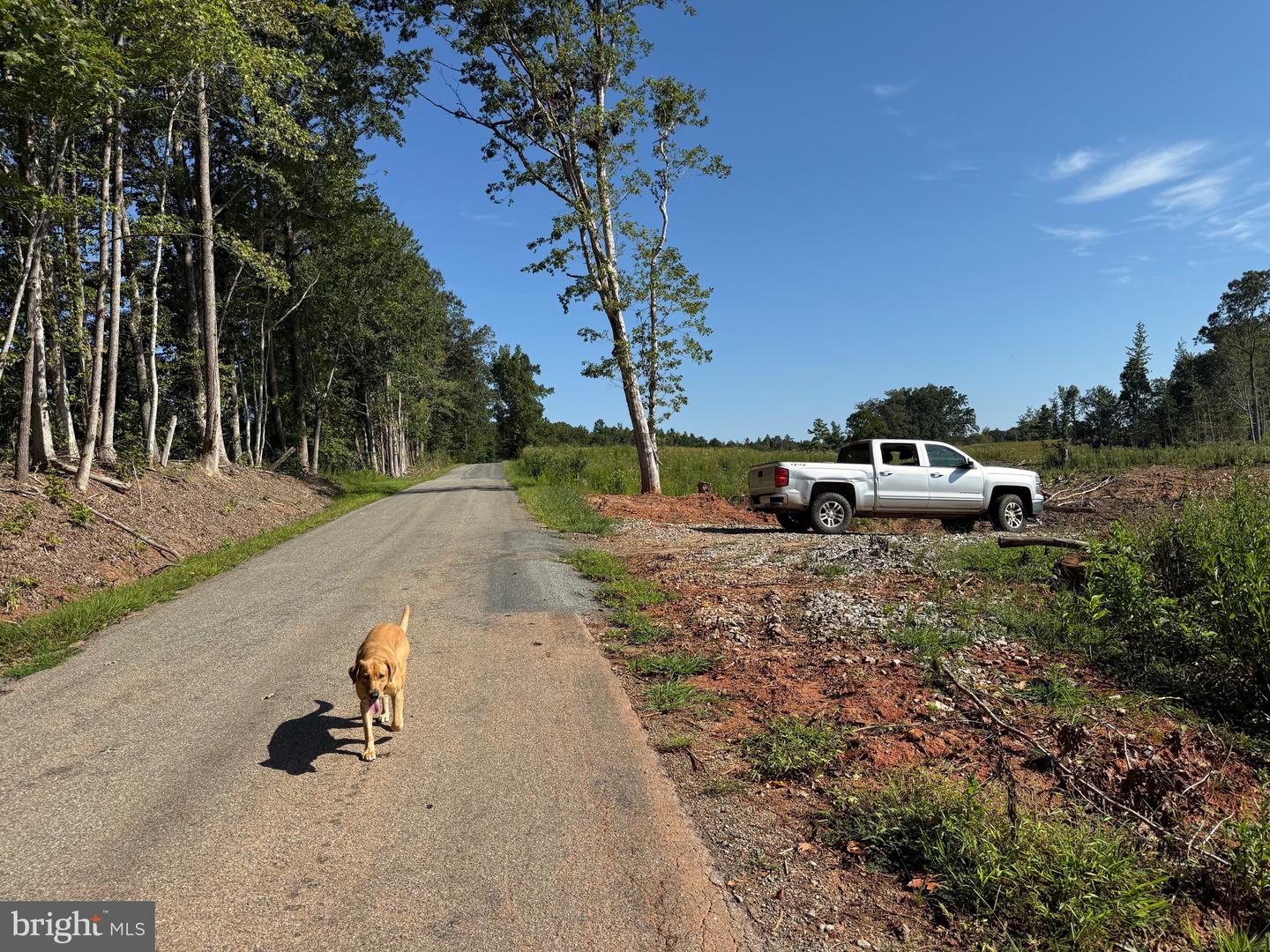 TBD CARY SHOP RD, BURKEVILLE, Virginia 23922, ,Farm,For sale,TBD CARY SHOP RD,VANW2000060 MLS # VANW2000060