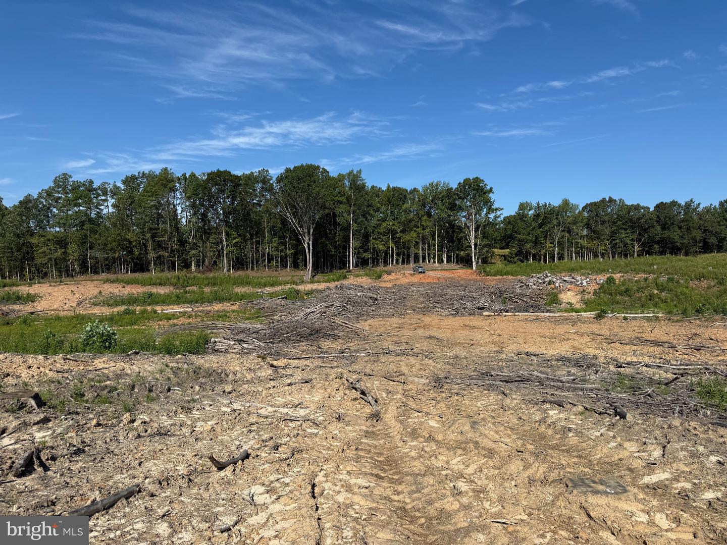 TBD CARY SHOP RD, BURKEVILLE, Virginia 23922, ,Farm,For sale,TBD CARY SHOP RD,VANW2000060 MLS # VANW2000060